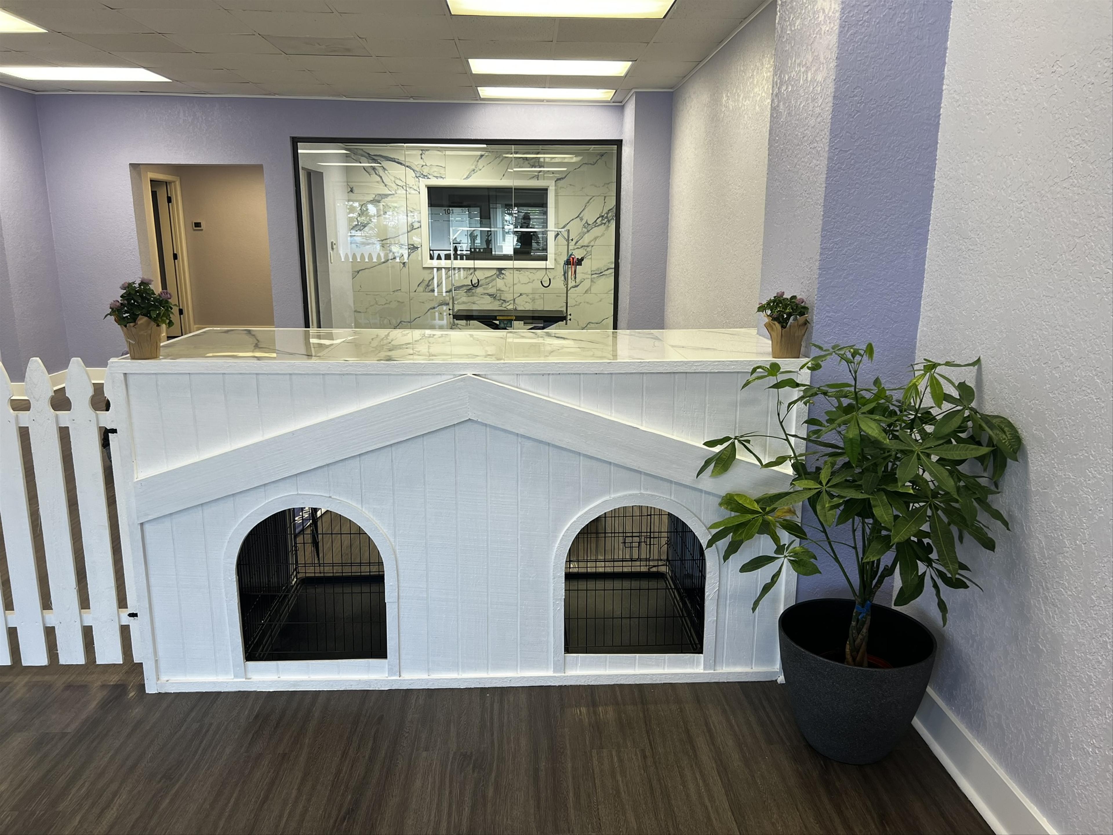 Front Desk of Barking Beauties Pet Salon, Spa, Grooming